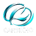 CARSIKHO.net